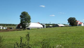 Cogmagun poultry processing and free range farm