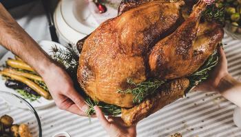 Free Range Nova Scotia Turkey