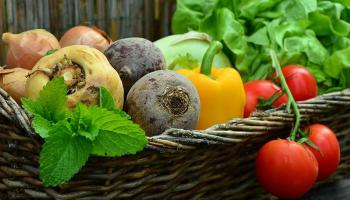 Local Nova Scotia Produce