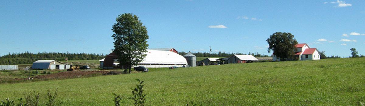 Cogmagun Family Farm