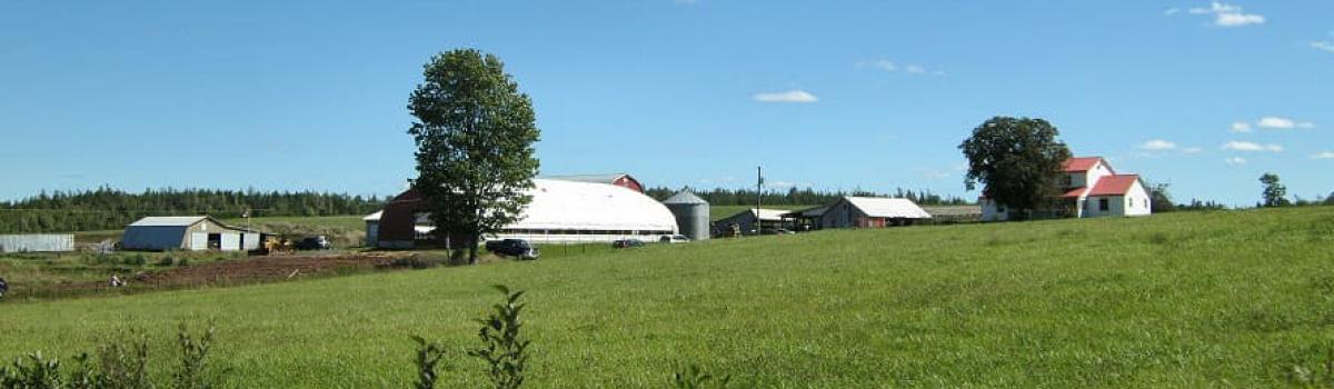 Cogmagun poultry processing and free range farm