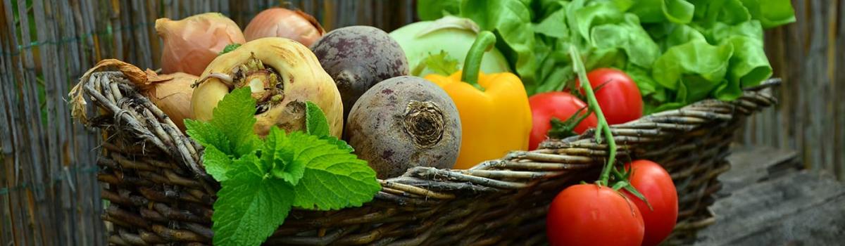 Local Nova Scotia Produce